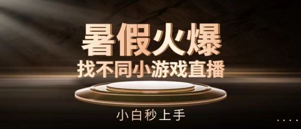 暑假火爆找不同小游戏直播间，小白秒上手【揭秘】-同心网创