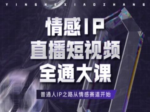 情感IP直播短视频全通大课，普通人IP之路从情感赛道开始-同心网创