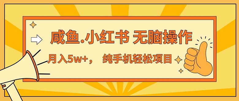 （11524期）2024最赚钱的项目，咸鱼，小红书无脑操作，每单利润500+，轻松月入5万+…-同心网创