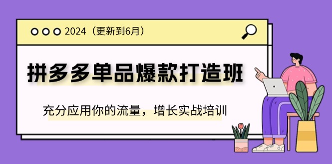 （11556期）2024拼多多-单品爆款打造班(更新6月)，充分应用你的流量，增长实战培训-同心网创