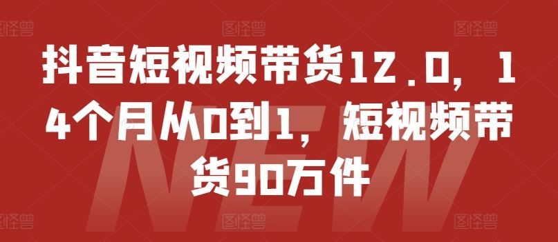 抖音短视频带货12.0，14个月从0到1，短视频带货90万件-同心网创