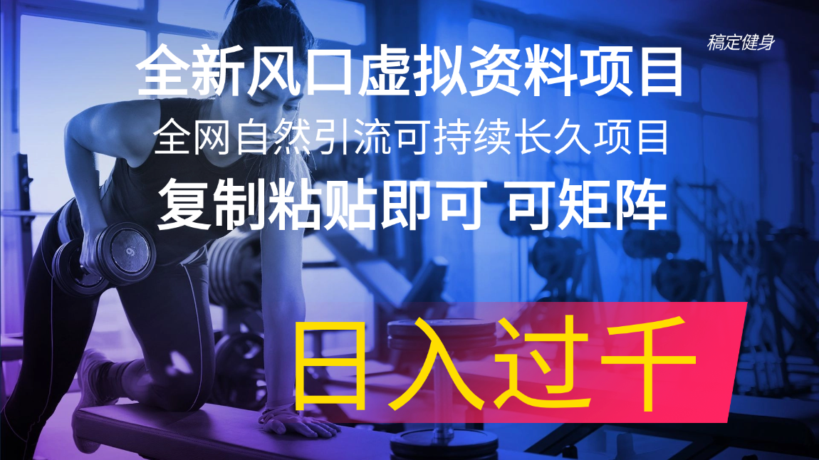 （11587期）全新风口虚拟资料项目 全网自然引流可持续长久项目 复制粘贴即可可矩阵…-404网创