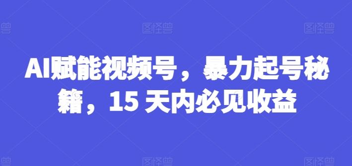 AI赋能视频号，暴力起号秘籍，15 天内必见收益【揭秘】-同心网创