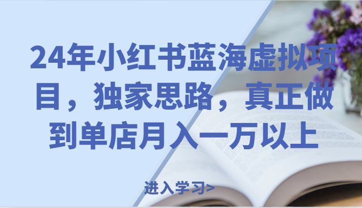 24年小红书蓝海虚拟项目，独家思路，真正做到单店月入一万以上。-同心网创