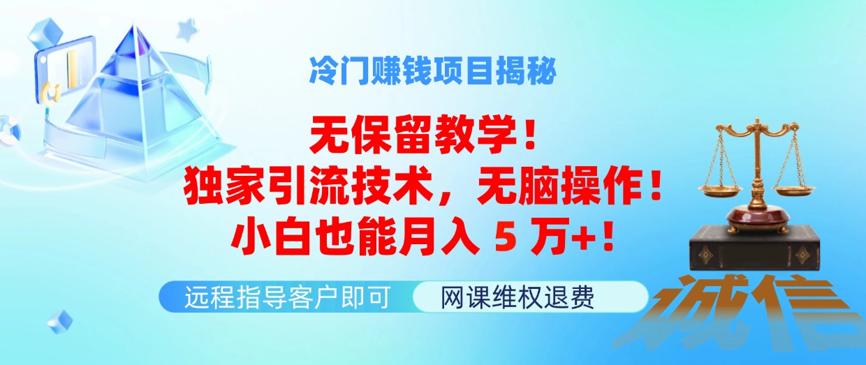 （11864期）冷门赚钱项目无保留教学！独家引流技术，无脑操作！小白也能月入5万+！-404网创