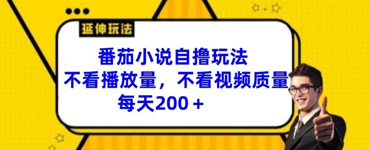 番茄小说自撸玩法，不看播放量，不看视频质量，每天200+【揭秘】-404网创