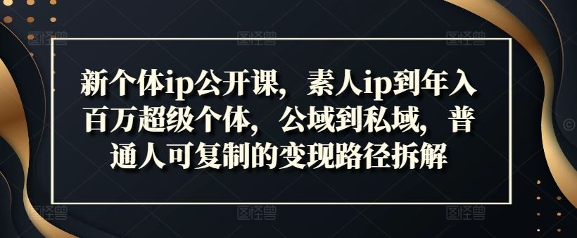 新个体ip公开课，素人ip到年入百万超级个体，公域到私域，普通人可复制的变现路径拆解-404网创