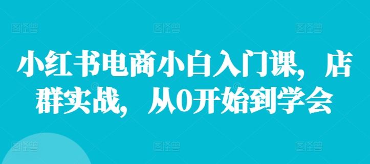 小红书电商小白入门课，店群实战，从0开始到学会-404网创