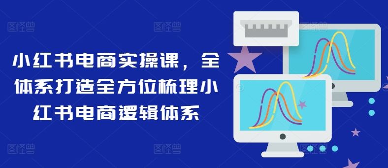 小红书电商实操课，全体系打造全方位梳理小红书电商逻辑体系-同心网创