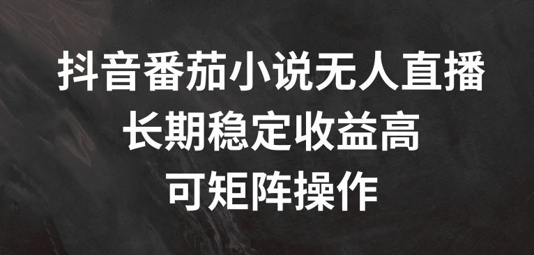 抖音番茄小说无人直播，长期稳定收益高，可矩阵操作【揭秘】-同心网创