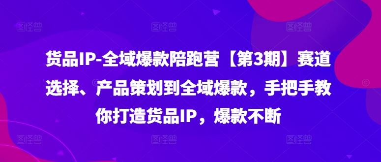 货品IP全域爆款陪跑营【第3期】赛道选择、产品策划到全域爆款，手把手教你打造货品IP，爆款不断-同心网创