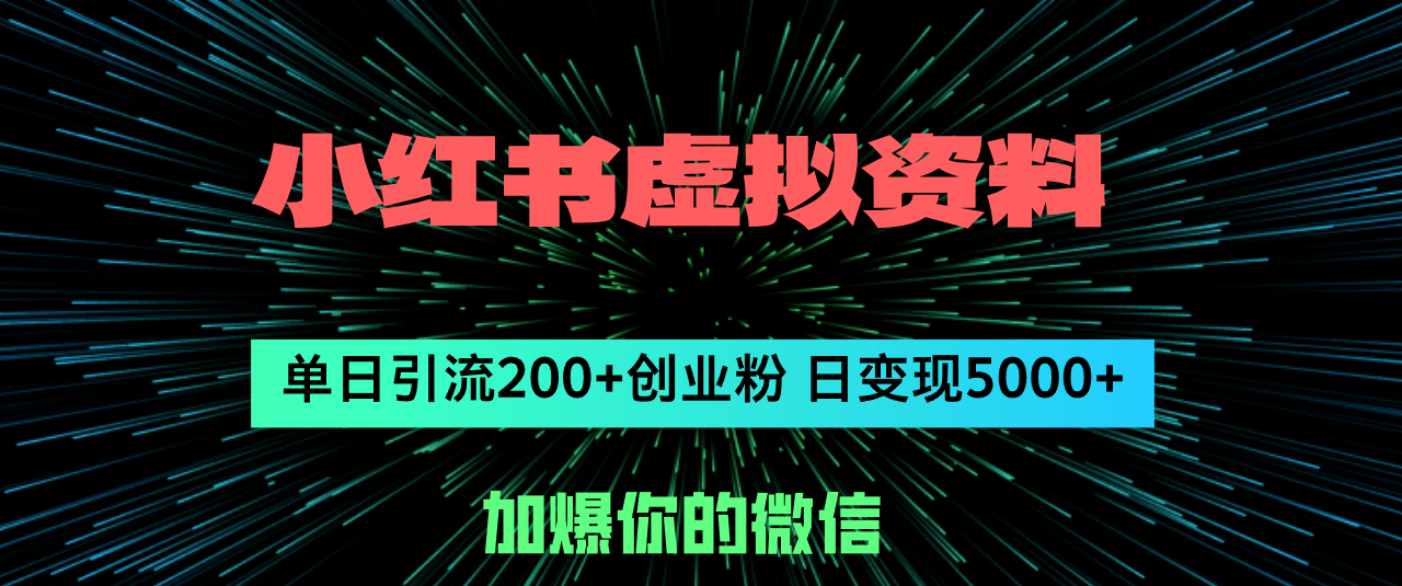 （12164期）小红书虚拟资料日引流200+创业粉，单日变现5000+-同心网创