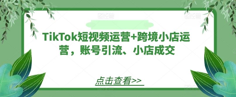 TikTok短视频运营+跨境小店运营，账号引流、小店成交-404网创