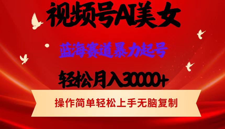 （12178期）视频号AI美女跳舞，轻松月入30000+，蓝海赛道，流量池巨大，起号猛，当…-同心网创