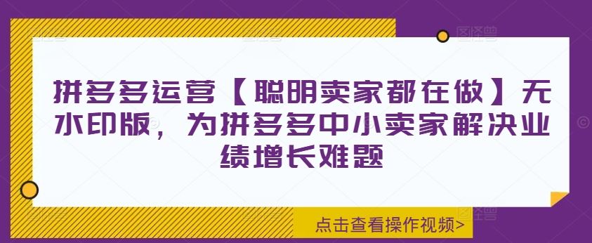 拼多多运营【聪明卖家都在做】无水印版，为拼多多中小卖家解决业绩增长难题-同心网创