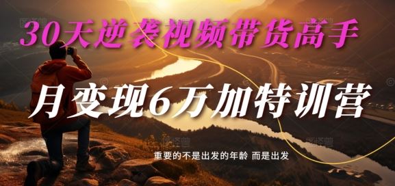 30天逆袭视频带货高手，单月变现6万加特训营-麦子甜-同心网创