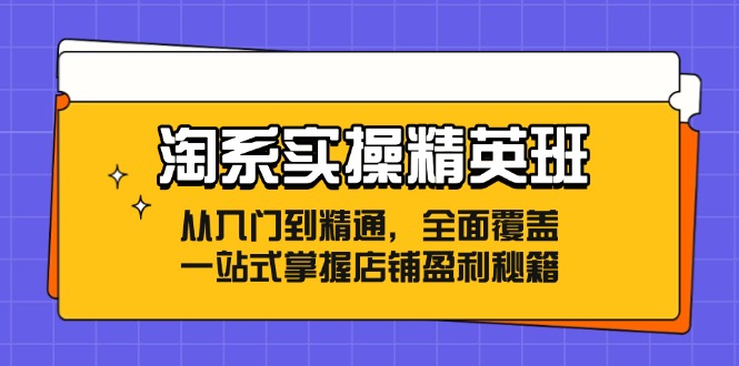 （12276期）淘系实操精英班：从入门到精通，全面覆盖，一站式掌握店铺盈利秘籍-404网创