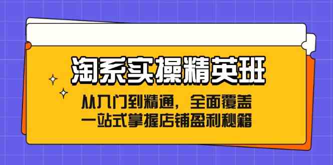 淘系实操精英班：从入门到精通，全面覆盖，一站式掌握店铺盈利秘籍-同心网创