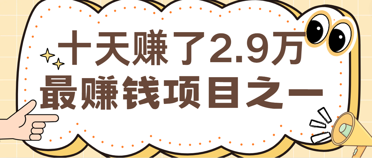 闲鱼小红书最赚钱项目之一，纯手机操作简单，小白必学轻松月入6万+-404网创