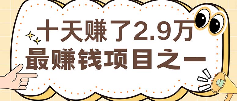 （12491期）闲鱼小红书赚钱项目之一，轻松月入6万+项目-404网创