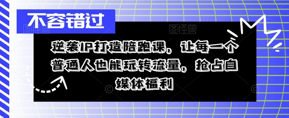 逆袭IP打造陪跑课，让每一个普通人也能玩转流量，抢占自媒体福利-同心网创