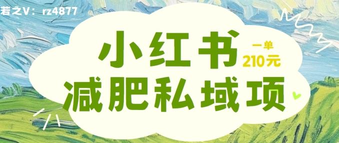 小红书减肥粉，私域变现项目，一单就达210元，小白也能轻松上手【揭秘】-404网创