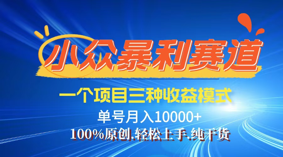 （12579期）【老人言】-视频号爆火赛道，三种变现方式，0粉新号调调爆款-同心网创