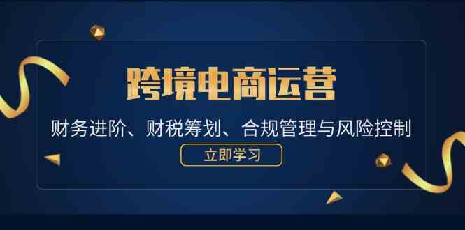 跨境电商运营：财务进阶、财税筹划、合规管理与风险控制-同心网创