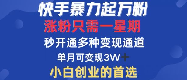 快手暴力起万粉，涨粉只需一星期，多种变现模式，直接秒开万合，单月变现过W【揭秘】-404网创