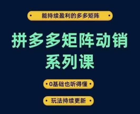 拼多多矩阵动销系列课，能持续盈利的多多矩阵，0基础也听得懂，玩法持续更新-同心网创