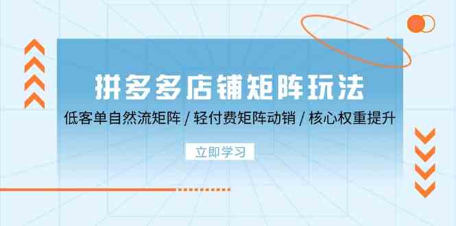 拼多多店铺矩阵玩法：低客单自然流矩阵 / 轻付费矩阵 动销 / 核心权重提升-同心网创