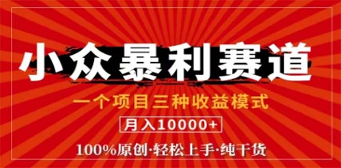 （12756期）视频号最新爆火赛道，三种可收益模式，0粉新号条条原创条条热门 日入1000+-同心网创