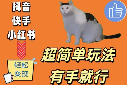 超简单玩法，有手就行，靠猫咪视频日入500+【揭秘】-同心网创