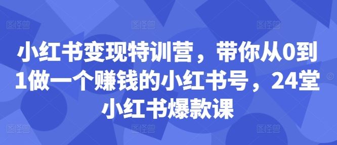 小红书变现特训营，带你从0到1做一个赚钱的小红书号，24堂小红书爆款课-同心网创