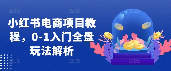 小红书电商项目教程，0-1入门全盘玩法解析-同心网创