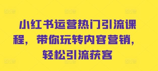 小红书运营热门引流课程，带你玩转内容营销，轻松引流获客-同心网创