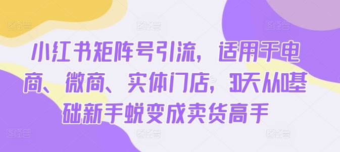 小红书矩阵号引流，适用于电商、微商、实体门店，30天从0基础新手蜕变成卖货高手-同心网创