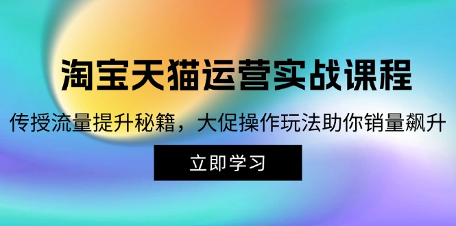 （12959期）淘宝&天猫运营实战课程，传授流量提升秘籍，大促操作玩法助你销量飙升-同心网创