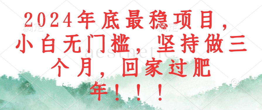 （12970期）2024年底最稳项目，小白无门槛，坚持做三个月，回家过肥年！！！-404网创