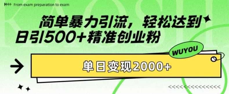 简单暴力引流，轻松达到日引500+精准创业粉，单日变现2k【揭秘】-404网创