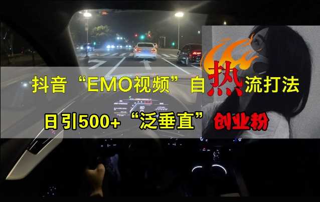 抖音EMO视频自热打法，日引500+“泛垂直”创业粉-同心网创