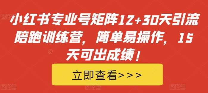 小红书专业号矩阵12+30天引流陪跑训练营，简单易操作，15天可出成绩!-同心网创