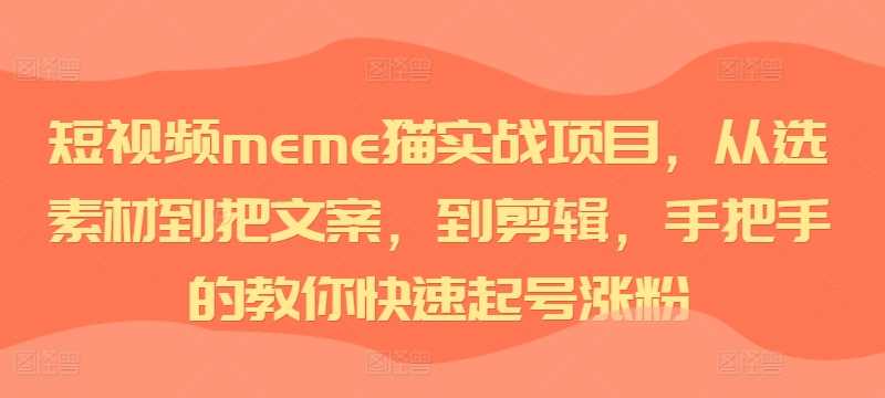 短视频meme猫实战项目，从选素材到把文案，到剪辑，手把手的教你快速起号涨粉-同心网创