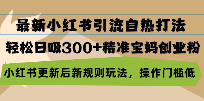 （13145期）最新小红书引流自热打法，轻松日吸300+精准宝妈创业粉，小红书更新后新…-同心网创