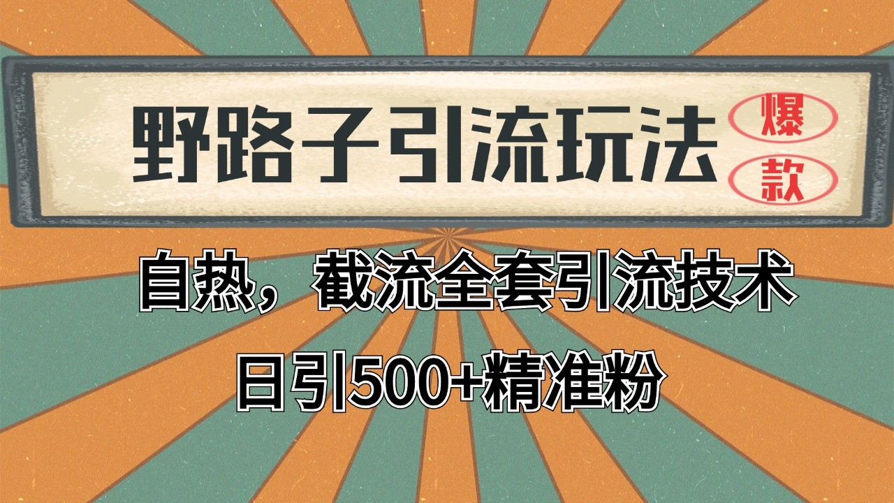 抖音小红书视频号全平台引流打法，全自动引流日引2000+精准客户-404网创