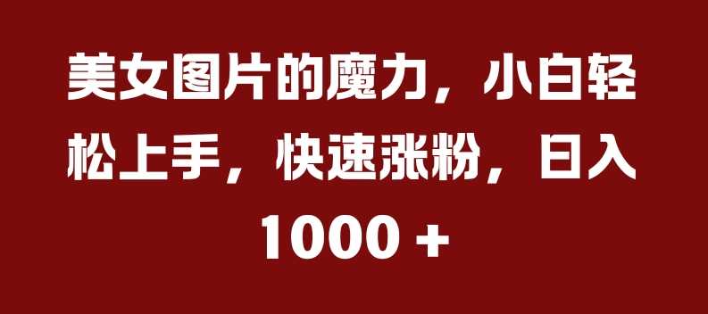 美女图片的魔力，小白轻松上手，快速涨粉，日入几张【揭秘】-404网创