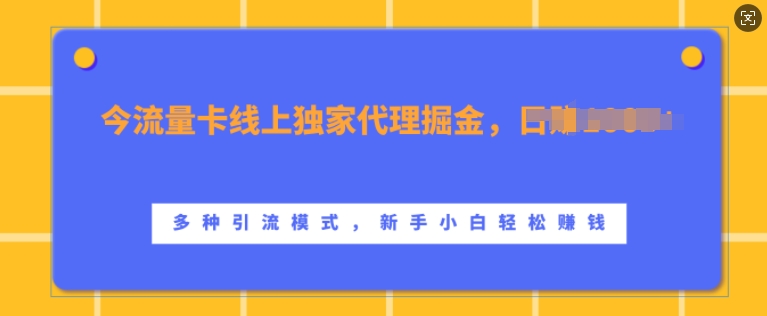 流量卡线上独家代理掘金，日入1k+ ，多种引流模式，新手小白轻松上手【揭秘】-同心网创