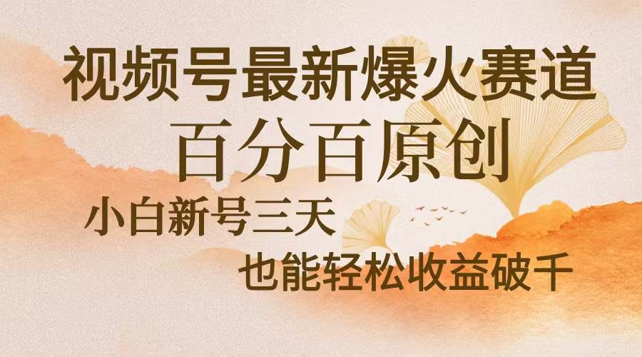 （13225期）视频号最新爆火赛道，中老年粉深信不疑，百分百原创，新号三天收益轻松…-同心网创