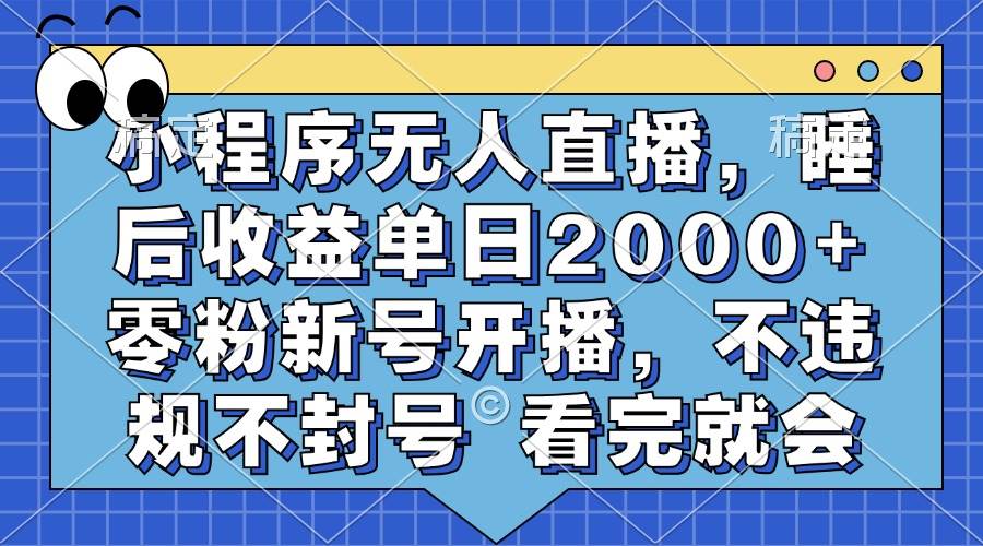 （13251期）小程序无人直播，睡后收益单日2000+ 零粉新号开播，不违规不封号 看完就会-404网创