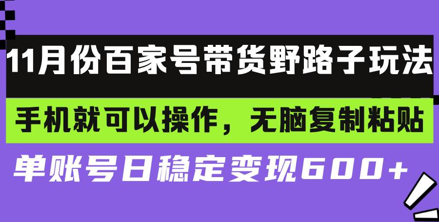 （13281期）百家号带货野路子玩法 手机就可以操作，无脑复制粘贴 单账号日稳定变现…-404网创